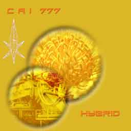 CAI777 - Hybrid released 1997 by Maschinenmusik Rec. - a psychedelic mix of agressive rythmic dance-elements with ambient sound scapes like restless daemons in the virtual jungle of junk media and cyberspace, somewhat similar to FSOL's Dead Cities
